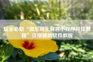 玩家必知“微乐河北麻将小程序开挂教程	”详细辅助软件教程