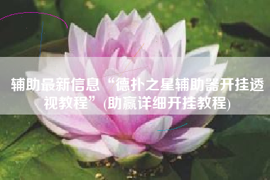 辅助最新信息“德扑之星辅助器开挂透视教程	”(助赢详细开挂教程)