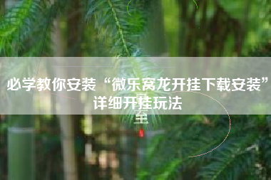 必学教你安装“微乐窝龙开挂下载安装”详细开挂玩法