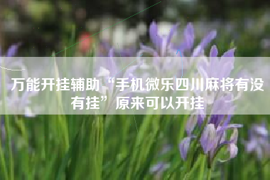 万能开挂辅助“手机微乐四川麻将有没有挂	”原来可以开挂