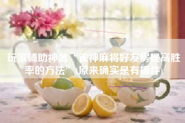 玩家辅助神器“雀神麻将好友房提高胜率的方法”(原来确实是有插件)