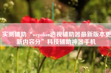 实测辅助“wepoker透视辅助器最新版本更新内容分	”科技辅助神器手机