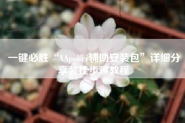 一键必胜“AApoker辅助安装包”详细分享装挂步骤教程