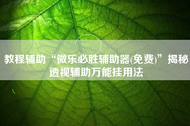 教程辅助“微乐必胜辅助器(免费)”揭秘透视辅助万能挂用法