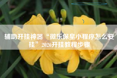 辅助开挂神器“微乐保皇小程序怎么安挂”2026开挂教程步骤