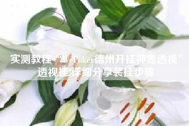 实测教程“WePoker德州开挂神器透视	”透视挂!详细分享装挂步骤