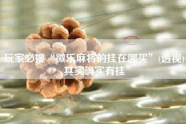 玩家必搜“微乐麻将的挂在哪买	”(透视)其实确实有挂