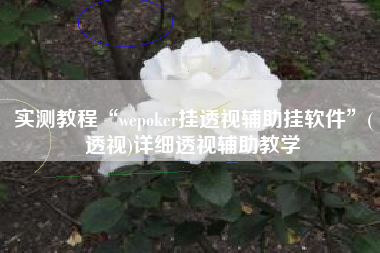 实测教程“wepoker挂透视辅助挂软件”(透视)详细透视辅助教学