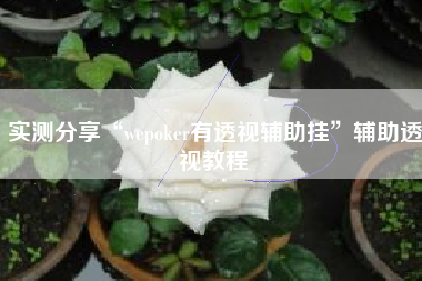 实测分享“wepoker有透视辅助挂”辅助透视教程