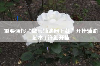 重要通报“微乐辅助器下载”开挂辅助脚本+详细开挂