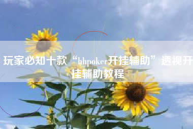 玩家必知十款“hhpoker开挂辅助”透视开挂辅助教程