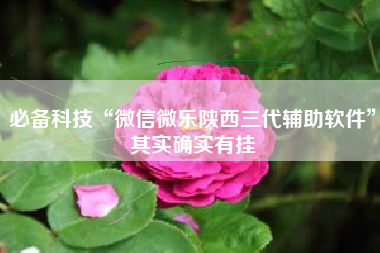 必备科技“微信微乐陕西三代辅助软件	”其实确实有挂