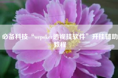 必备科技“wepoker透视挂软件”开挂辅助教程