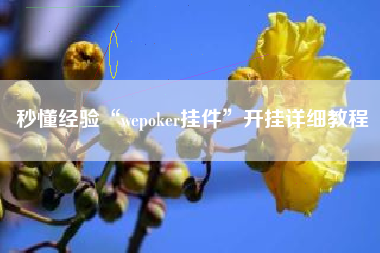 秒懂经验“wepoker挂件”开挂详细教程
