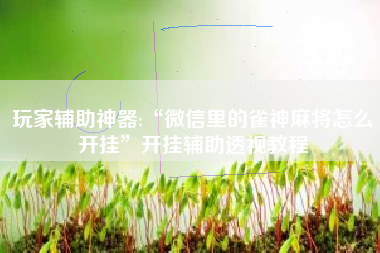 玩家辅助神器:“微信里的雀神麻将怎么开挂	”开挂辅助透视教程