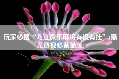 玩家必搜“龙江微乐麻将有没有挂”(曝光透视必备猫腻)