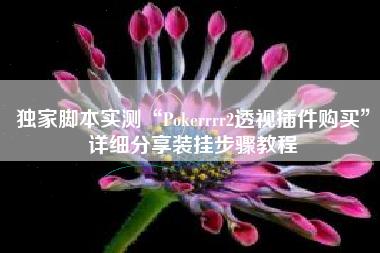 独家脚本实测“Pokerrrr2透视插件购买”详细分享装挂步骤教程