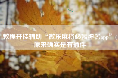 教程开挂辅助“微乐麻将必赢神器app”(原来确实是有插件