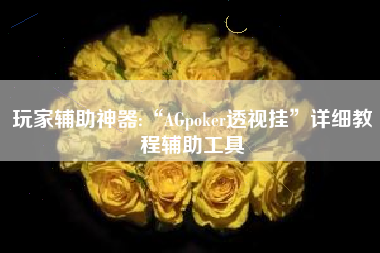 玩家辅助神器:“AGpoker透视挂”详细教程辅助工具