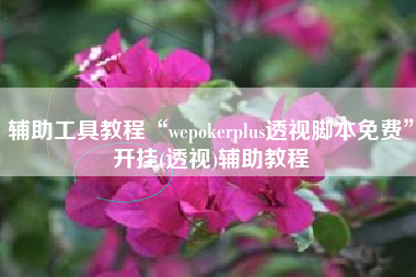 辅助工具教程“wepokerplus透视脚本免费”开挂(透视)辅助教程