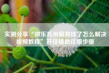 实测分享“微乐苏州麻将挂了怎么解决视频教程	”开挂辅助详细步骤