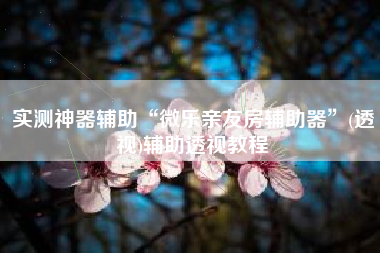 实测神器辅助“微乐亲友房辅助器”(透视)辅助透视教程