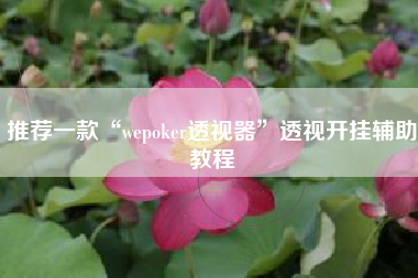 推荐一款“wepoker透视器”透视开挂辅助教程