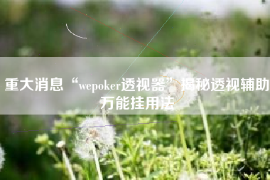 重大消息“wepoker透视器	”揭秘透视辅助万能挂用法