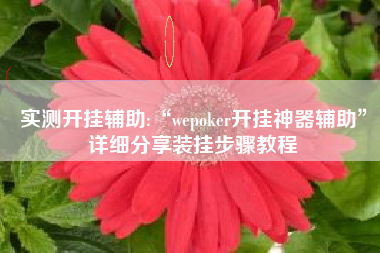 实测开挂辅助:“wepoker开挂神器辅助	”详细分享装挂步骤教程