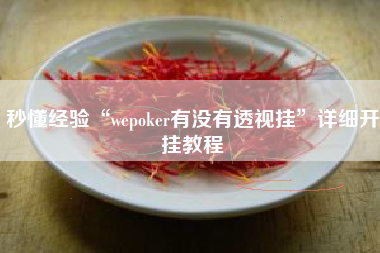 秒懂经验“wepoker有没有透视挂”详细开挂教程