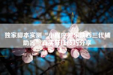 独家脚本实测“小程序微乐陕西三代辅助器	”真实开挂技巧分享