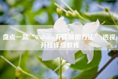 盘点一款“WePoker开挂辅助方法	”(透视)开挂详细教程