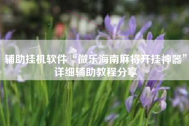 辅助挂机软件“微乐海南麻将开挂神器”详细辅助教程分享