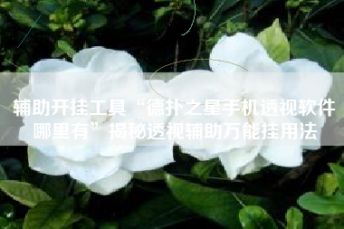 辅助开挂工具“德扑之星手机透视软件哪里有	”揭秘透视辅助万能挂用法