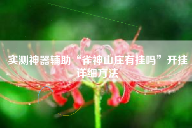 实测神器辅助“雀神山庄有挂吗”开挂详细方法