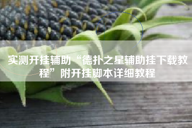 实测开挂辅助“德扑之星辅助挂下载教程”附开挂脚本详细教程