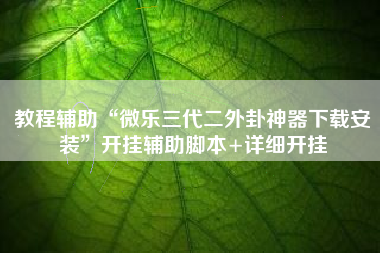 教程辅助“微乐三代二外卦神器下载安装”开挂辅助脚本+详细开挂