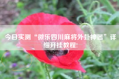 今日实测“微乐四川麻将外卦神器”详细开挂教程!