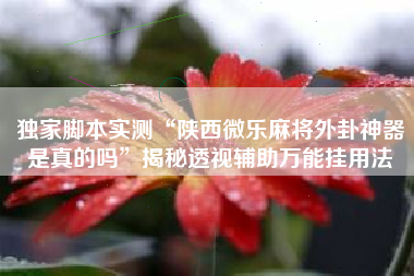 独家脚本实测“陕西微乐麻将外卦神器是真的吗	”揭秘透视辅助万能挂用法