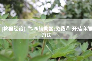 [教程经验]“WPK辅助器(免费)	”开挂详细方法