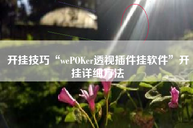 开挂技巧“wePOKer透视插件挂软件	”开挂详细方法