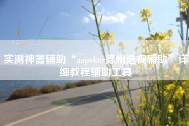 实测神器辅助“aapoker德州透视辅助”详细教程辅助工具