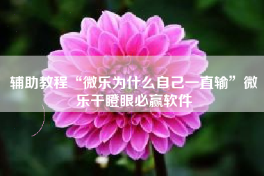 辅助教程“微乐为什么自己一直输”微乐干瞪眼必赢软件