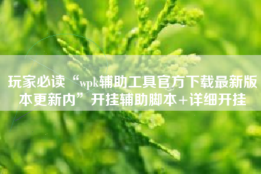 玩家必读“wpk辅助工具官方下载最新版本更新内	”开挂辅助脚本+详细开挂