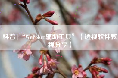 科普|“WePoker辅助工具”【透视软件教程分享】