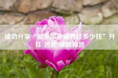 辅助分享“微乐家乡麻将挂多少钱”开挂(透视)辅助神器