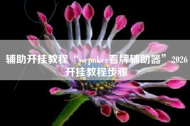 辅助开挂教程“wepoker看牌辅助器	”2026开挂教程步骤