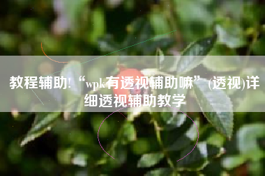 教程辅助!“wpk有透视辅助嘛	”(透视)详细透视辅助教学