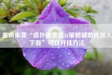 重磅来袭“德扑圈智能AI策略辅助机器人下载	”可以开挂方法