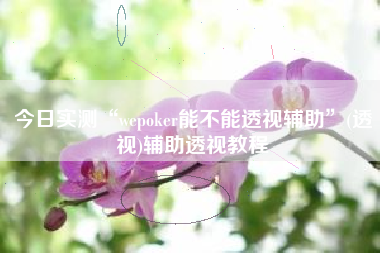 今日实测“wepoker能不能透视辅助	”(透视)辅助透视教程